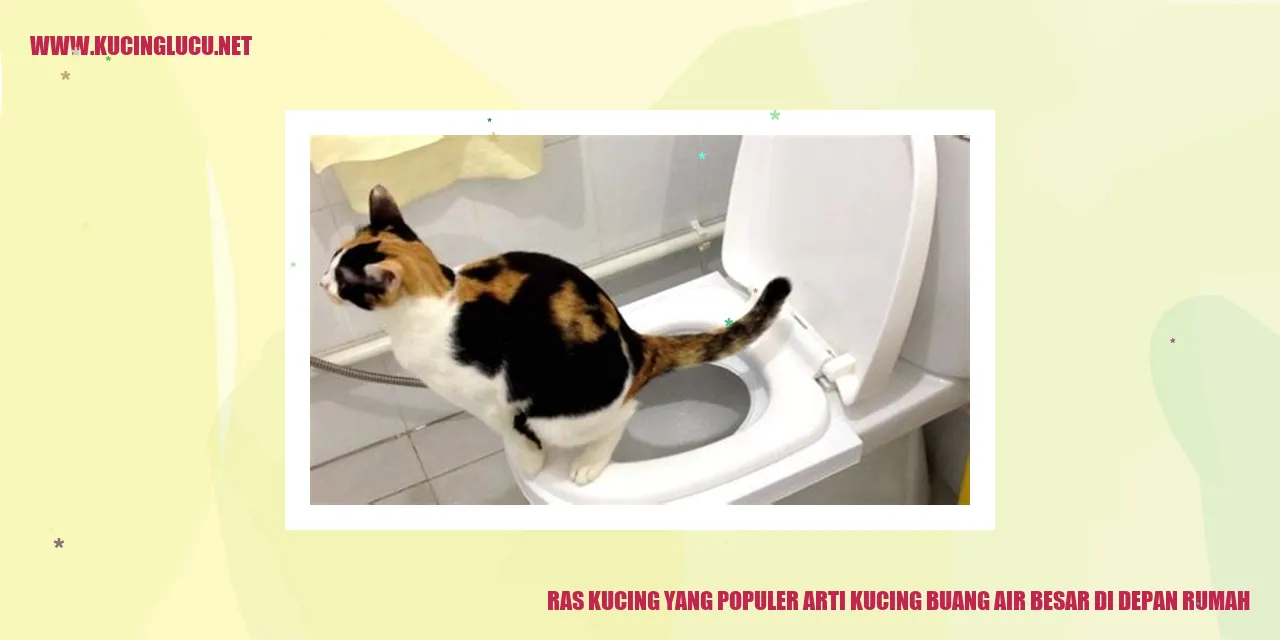 Ras Kucing yang Populer
