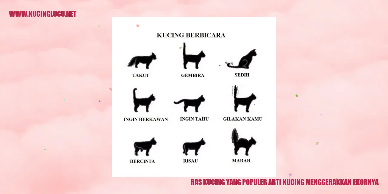 Ras Kucing yang Populer