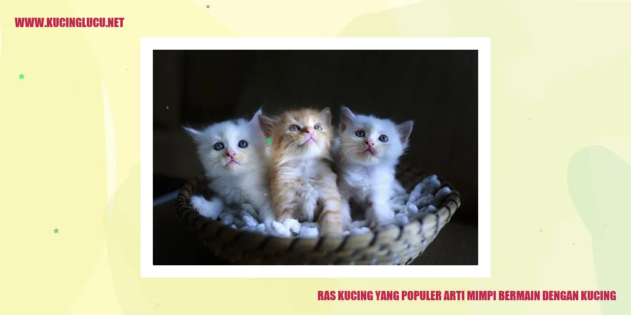 Ras Kucing yang Populer arti mimpi bermain dengan kucing
