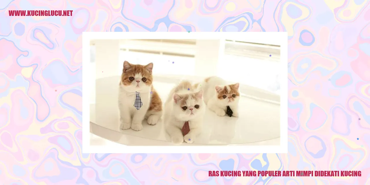Ras Kucing yang Populer