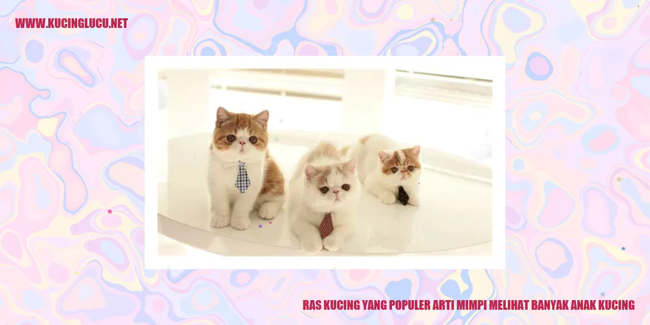 gambar kucing