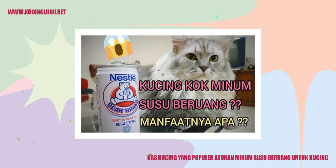 Ras Kucing yang Populer aturan minum susu beruang untuk kucing