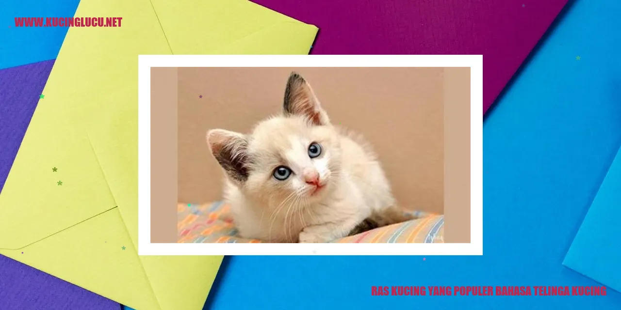Ras Kucing yang Terkenal dalam Bahasa Tubuh Kucing