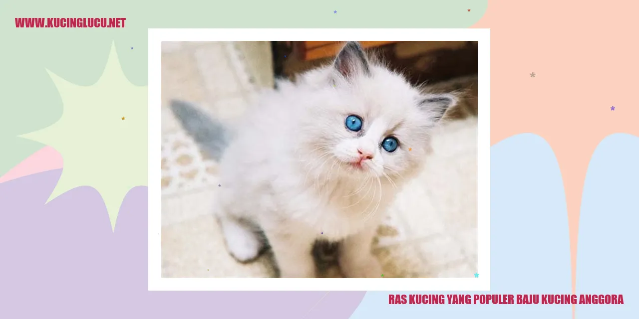Kucing Anggora