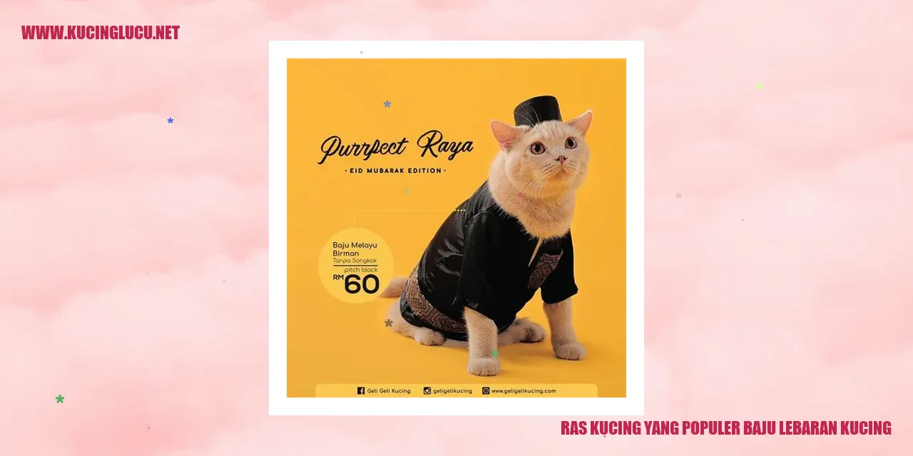 Kucing Menggemaskan dengan Pakaian Lebaran