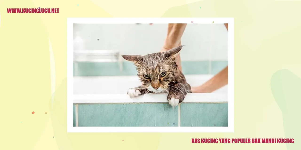 Ras Kucing yang Populer bak mandi kucing