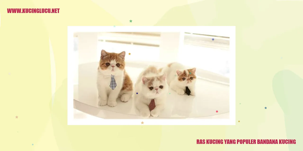 Gambar kucing dengan bandana