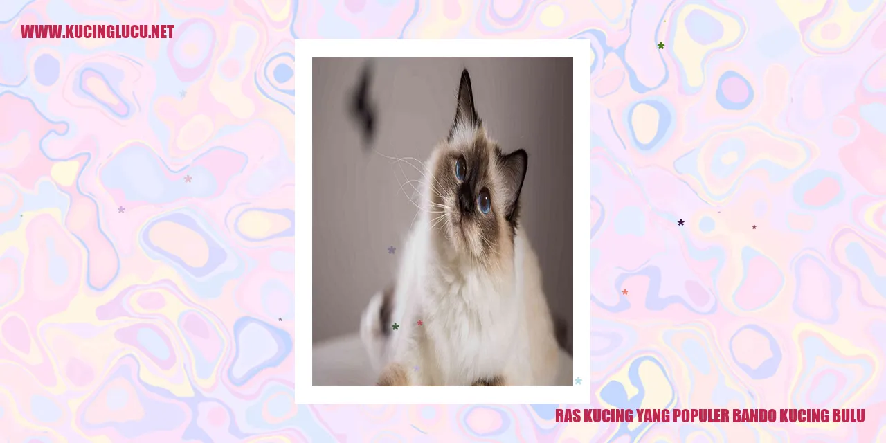 Ras Kucing yang Populer: Bando Kucing Bulu