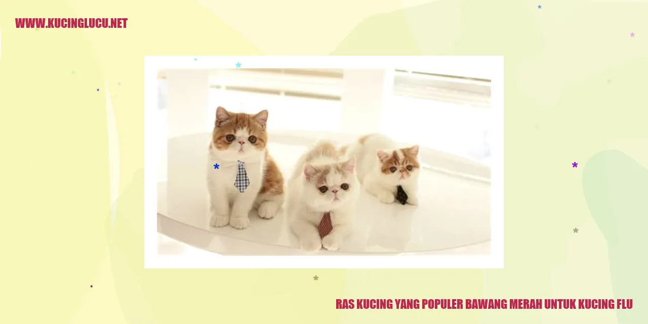 Ras Kucing yang Populer bawang merah untuk kucing flu