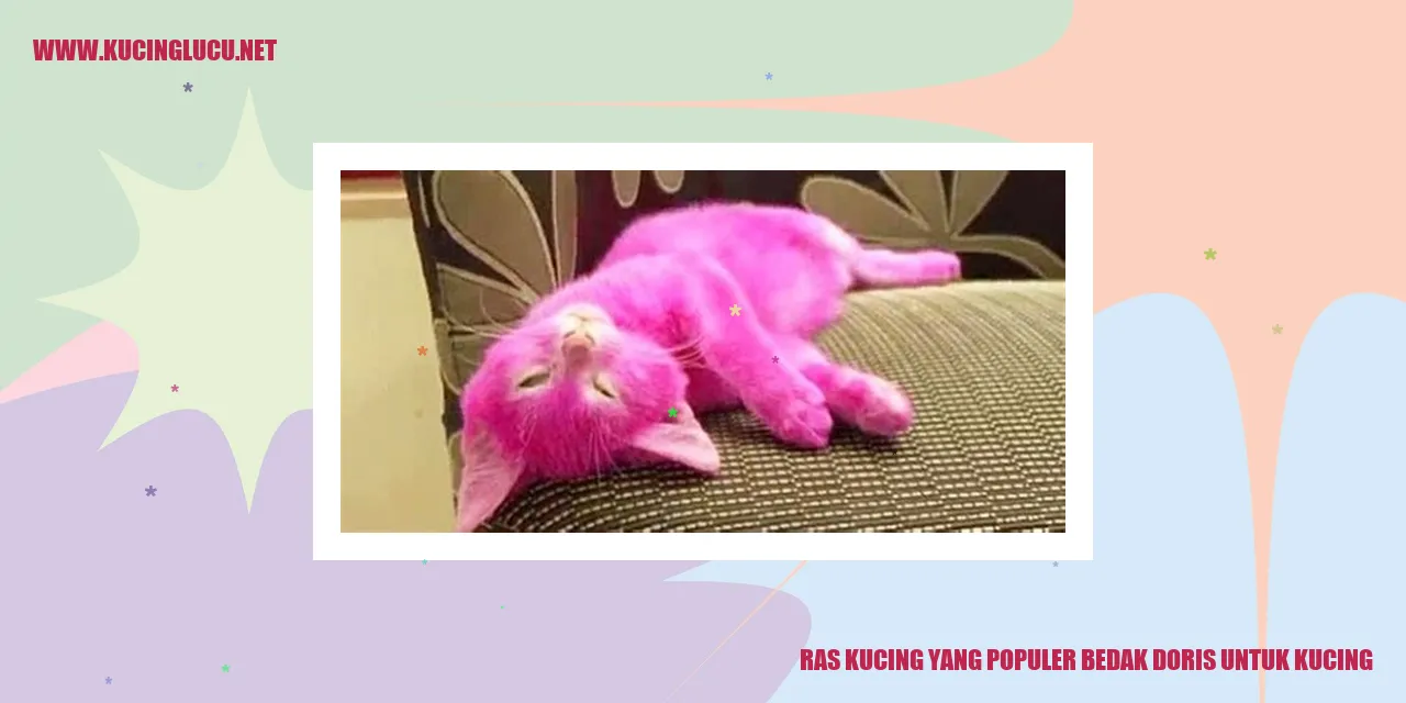 Ras Kucing yang Populer bedak doris untuk kucing