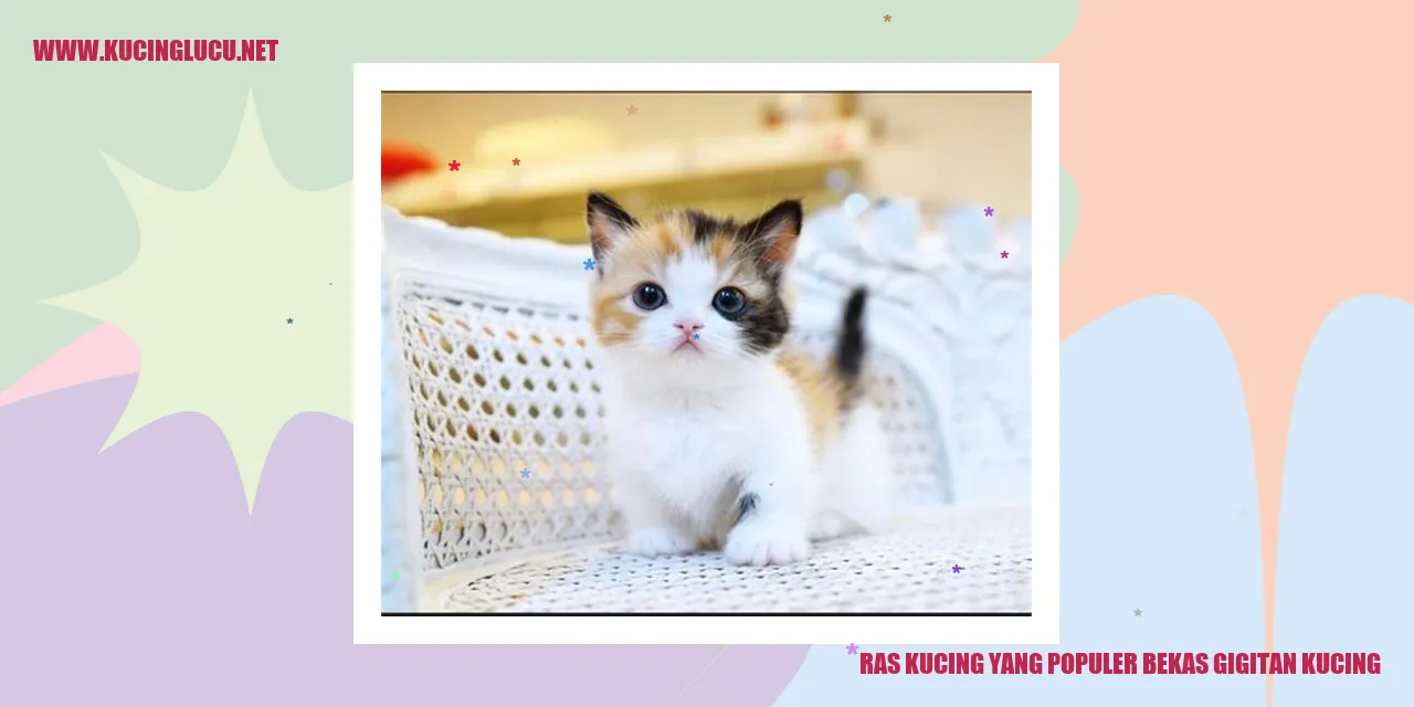 Ras Kucing yang Populer bekas gigitan kucing