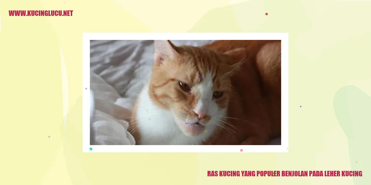 Ras Kucing yang Populer: Benjolan pada Leher Kucing