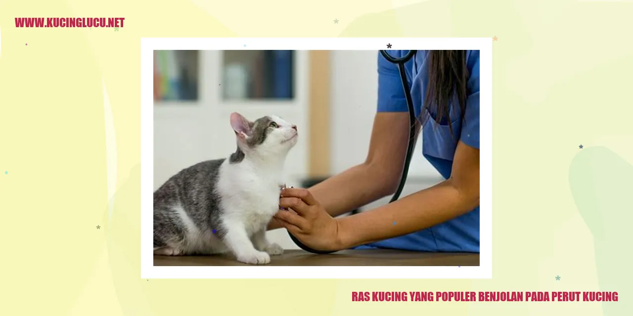 Benjolan pada Perut Kucing