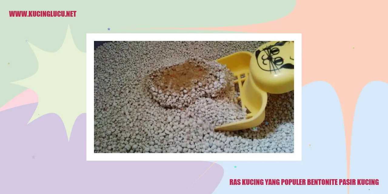 kucing mengorek perkakas kucing