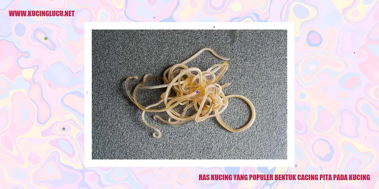 Ras Kucing yang Populer bentuk cacing pita pada kucing
