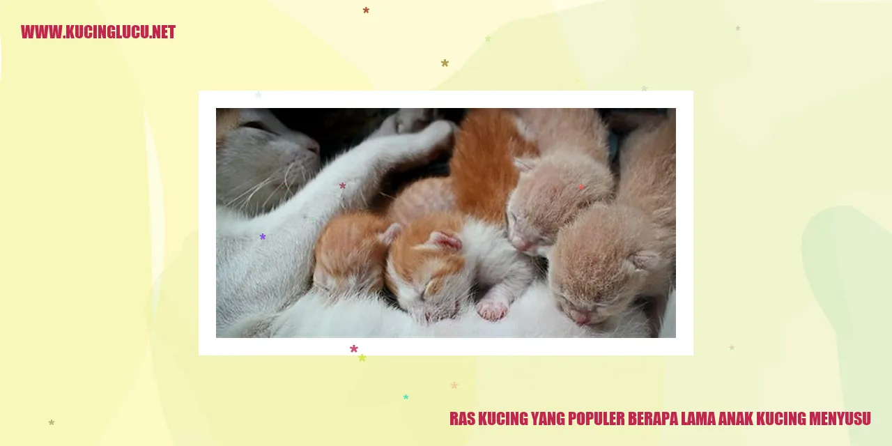 Ras Kucing yang Populer berapa lama anak kucing menyusu