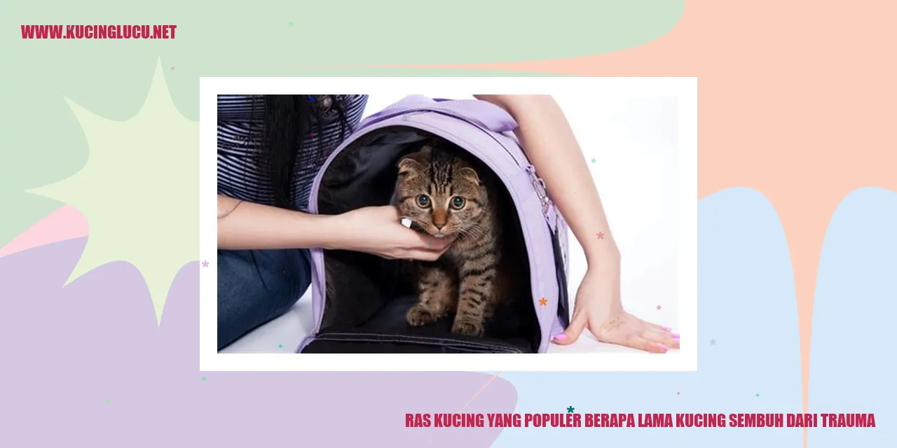 Ras Kucing yang Populer