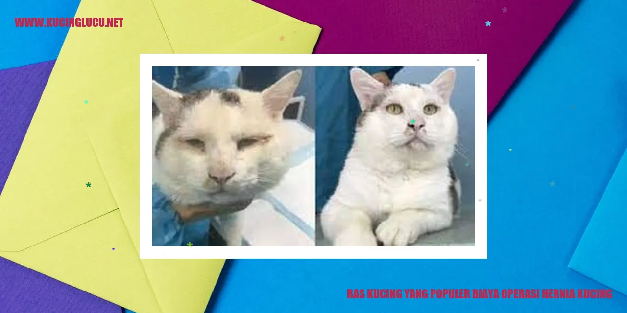Ras Kucing yang Populer Biaya Operasi Hernia Kucing