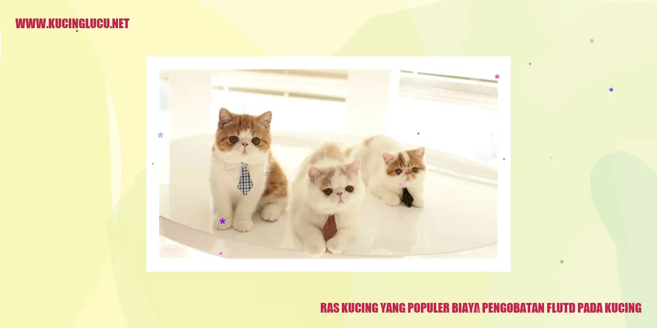 Gambar Ras Kucing yang Populer