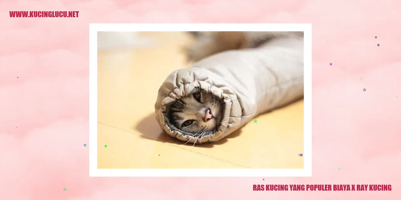 Ras Kucing yang Populer biaya x ray kucing