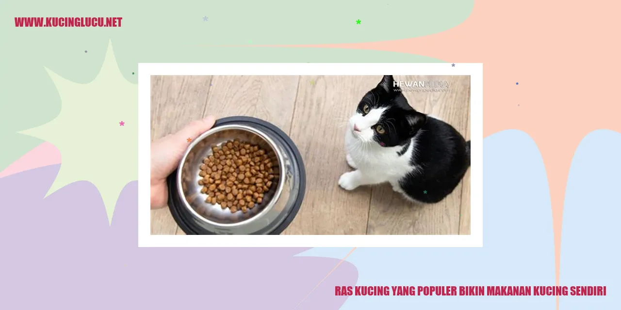 Kucing yang Membuat Makanan Sendiri
