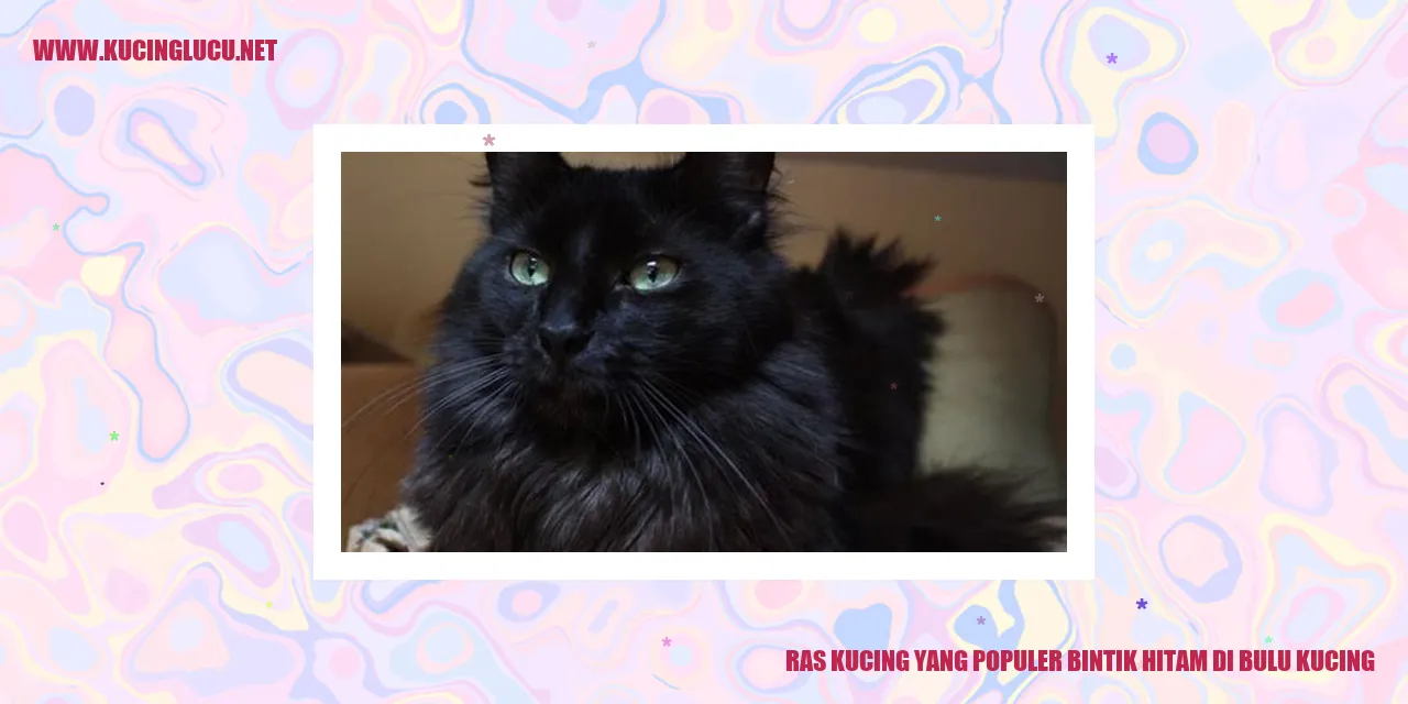 Kucing dengan pola bulu bintik hitam
