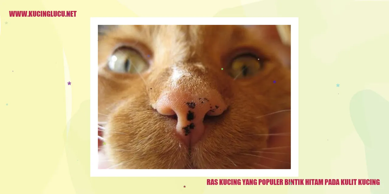 Kucing dengan Bintik Hitam