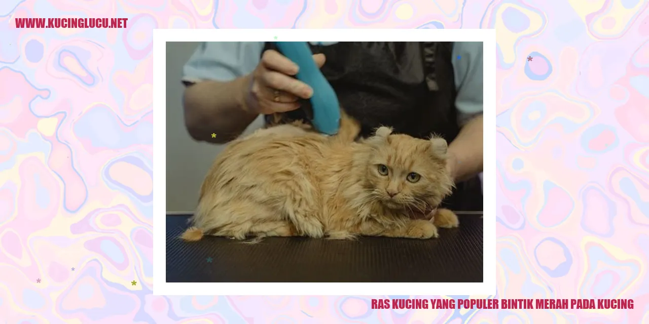 Kucing dengan bintik merah