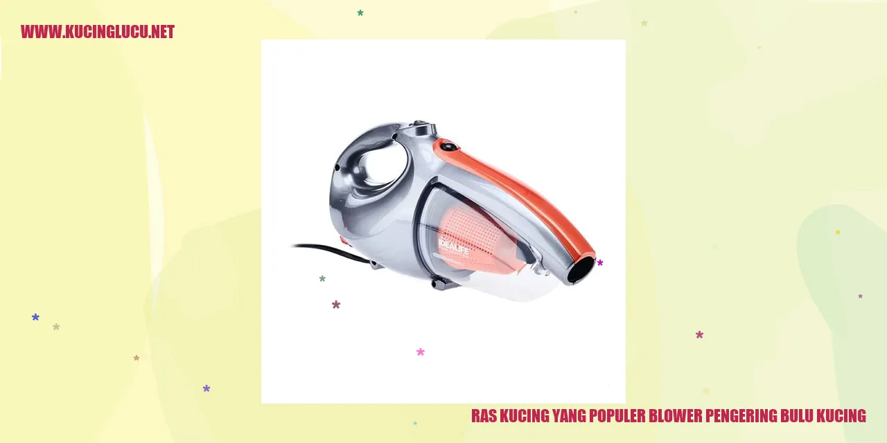 Ras Kucing yang Terkenal sebagai Blower Pengering Bulu Kucing