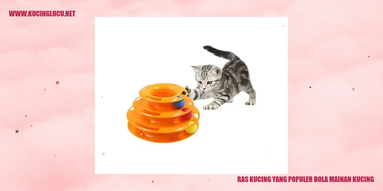 Bola Mainan Kucing