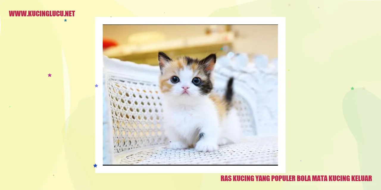 Kucing dengan bola mata yang menonjol
