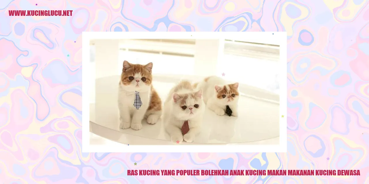 Ras Kucing yang Populer