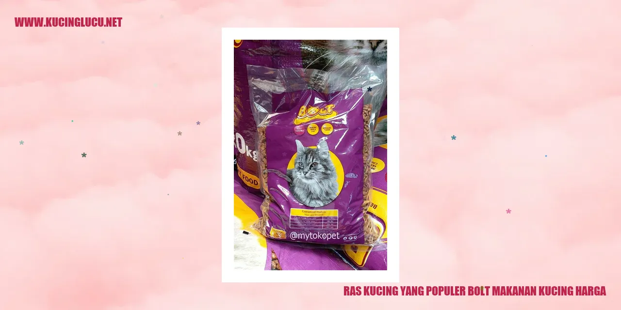 Kucing Persia