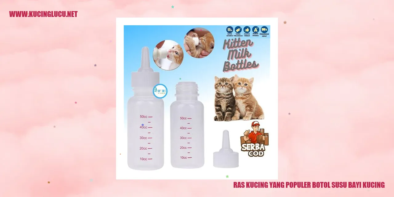 Kucing dengan botol susu bayi