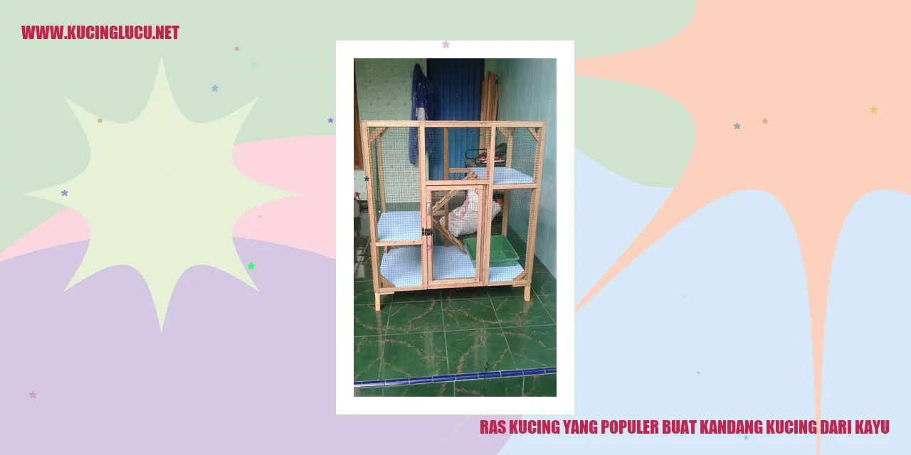 Ras Kucing yang Populer buat Kandang Kucing dari Kayu
