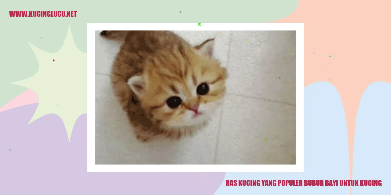 Ras Kucing yang Populer bubur bayi untuk kucing