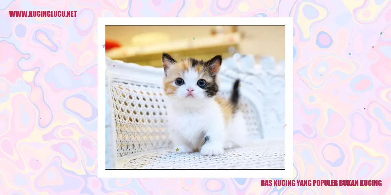 Ras Kucing yang Populer bukan Kucing