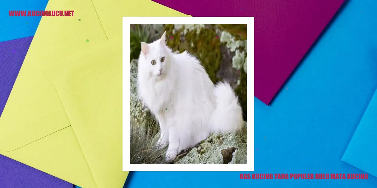 Kucing dengan bulu mata yang cantik