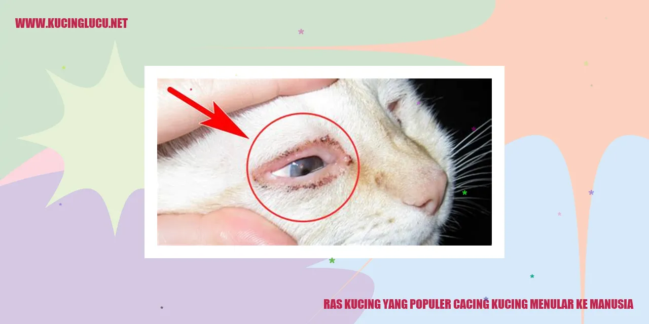 Ras Kucing yang Populer cacing kucing menular ke manusia