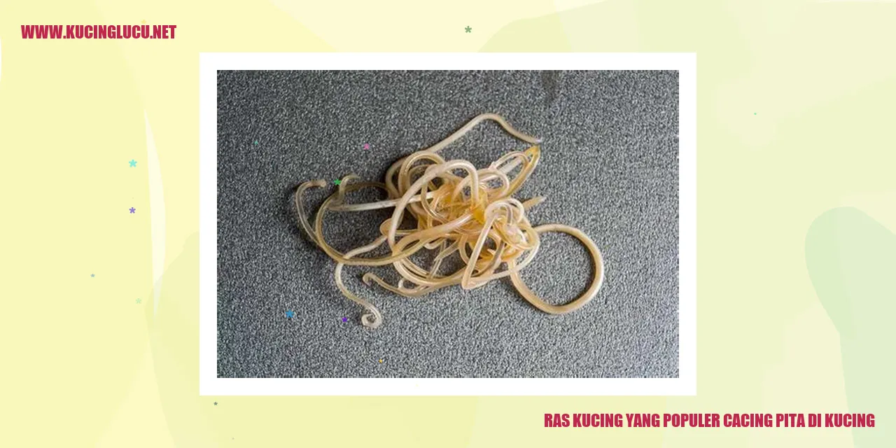 Gambar Kucing Terinfeksi Cacing Pita