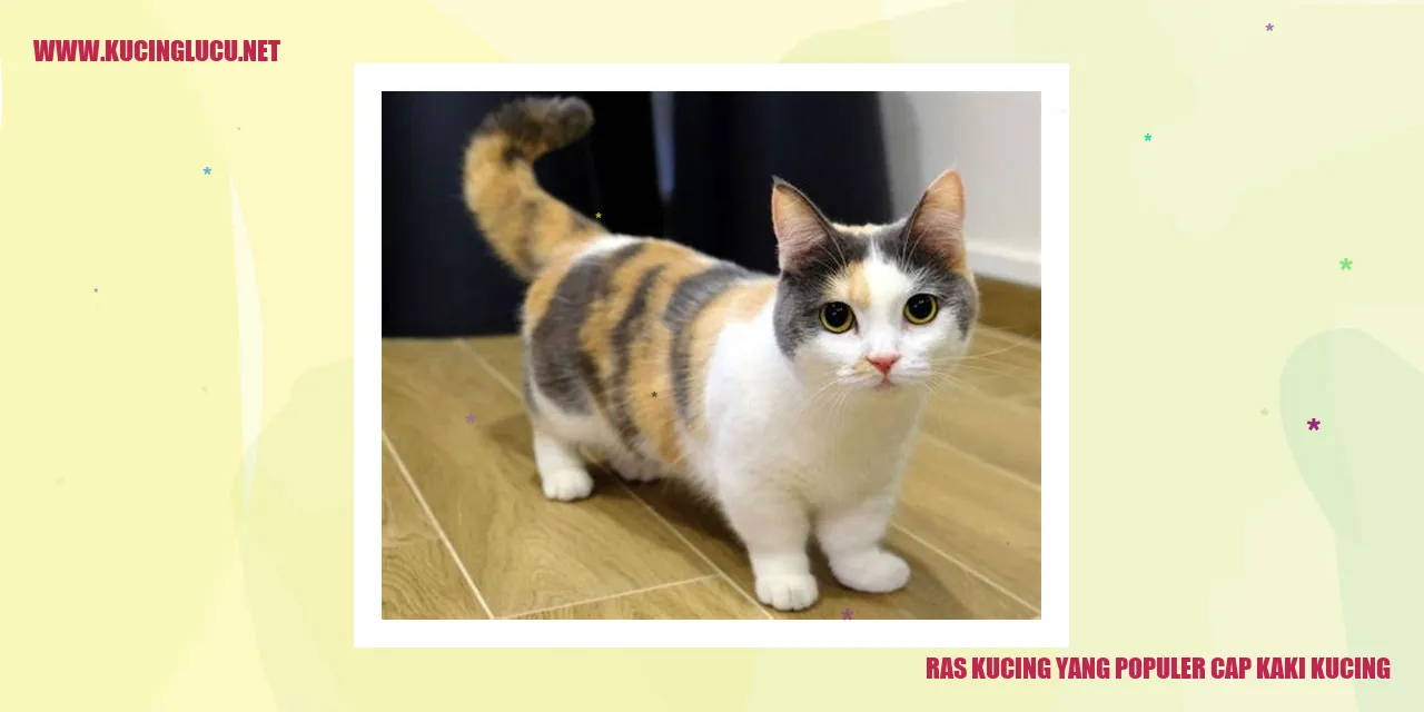 Gambar kucing dengan cap kaki