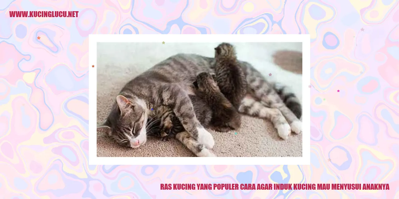 Ras Kucing yang Populer cara agar induk kucing mau menyusui anaknya