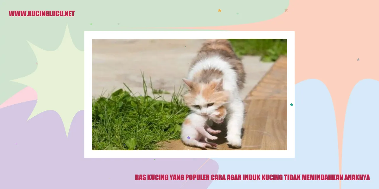 Ras Kucing yang Populer cara agar induk kucing tidak memindahkan anaknya
