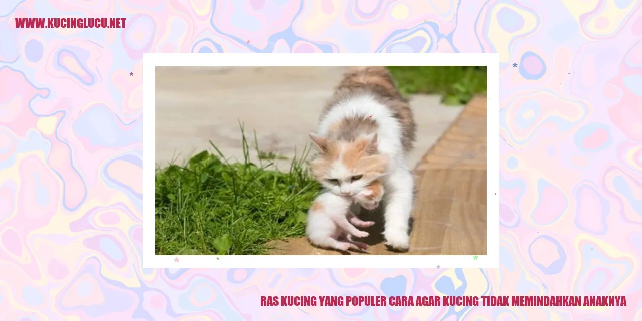 Gambar Ras Kucing yang Populer untuk Mencegah Kucing Pindah Anaknya