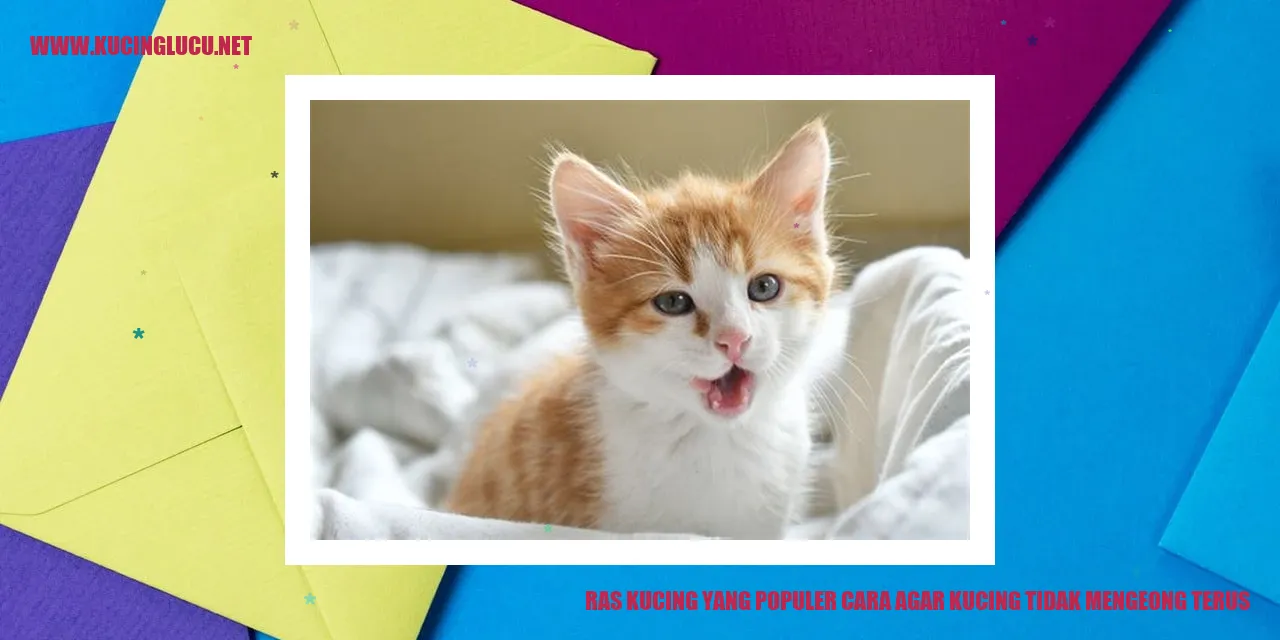Gambar Kucing