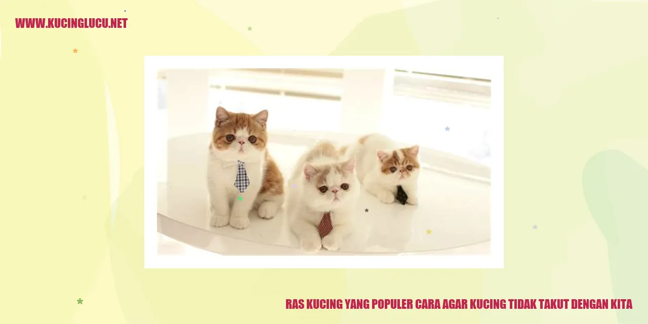 gambar kucing