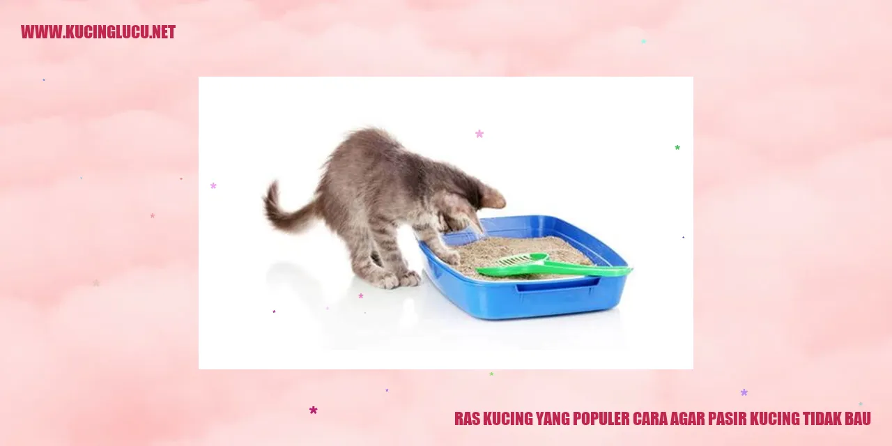 Kucing Ras