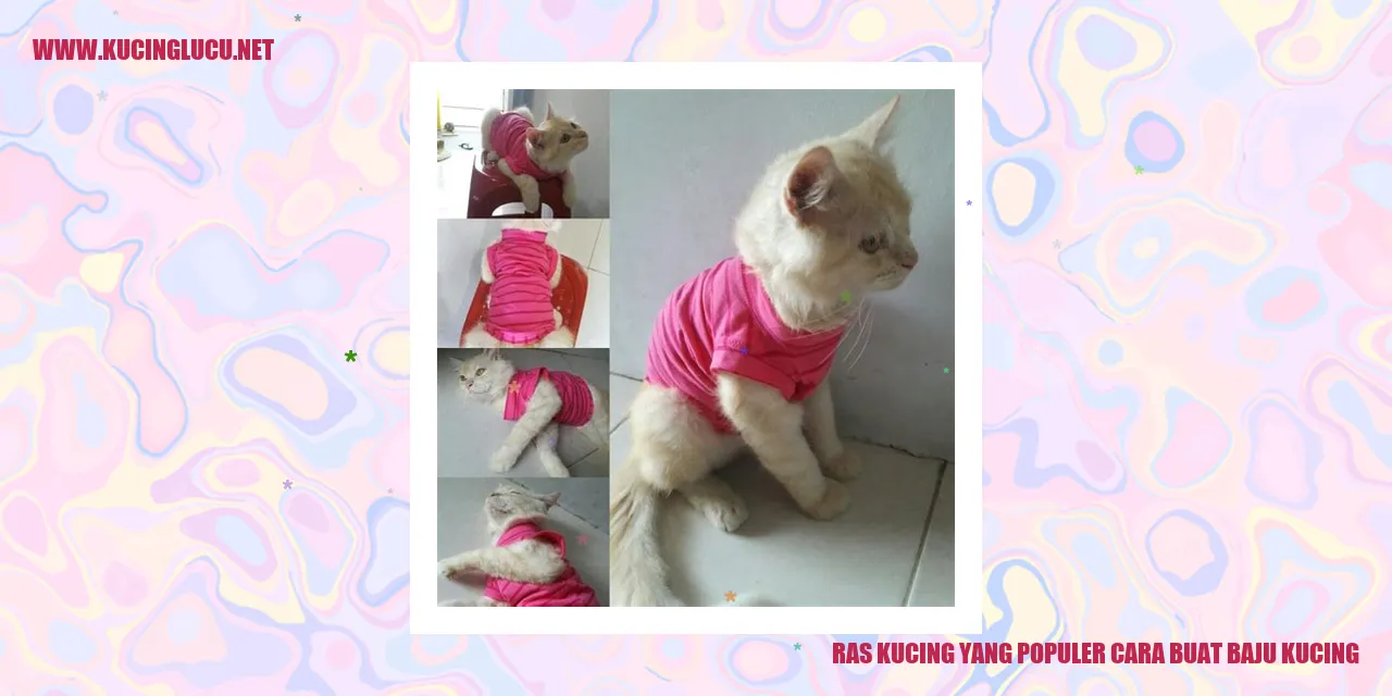 Ras Kucing yang Populer