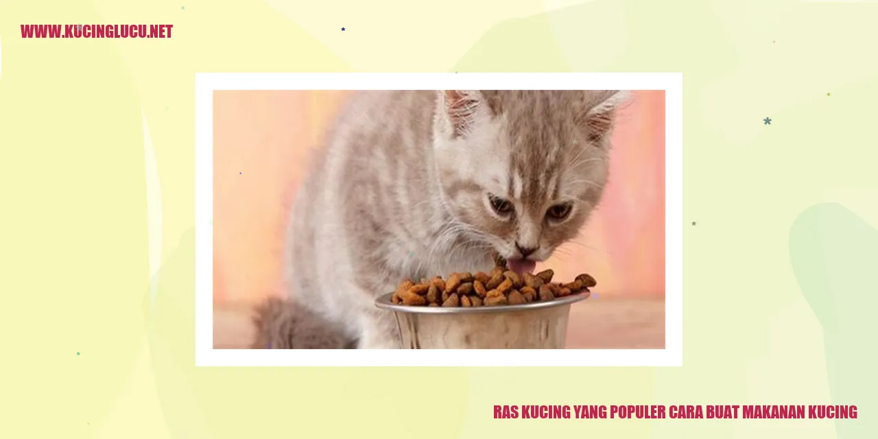 gambar kucing yang populer