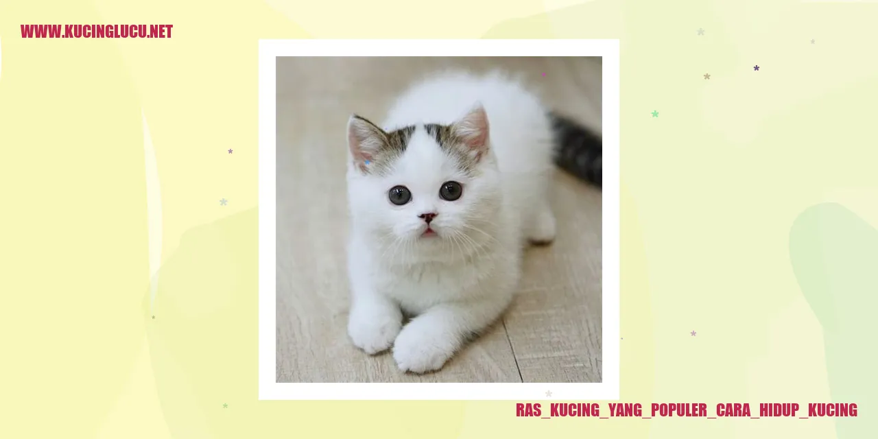 Kucing Terkenal